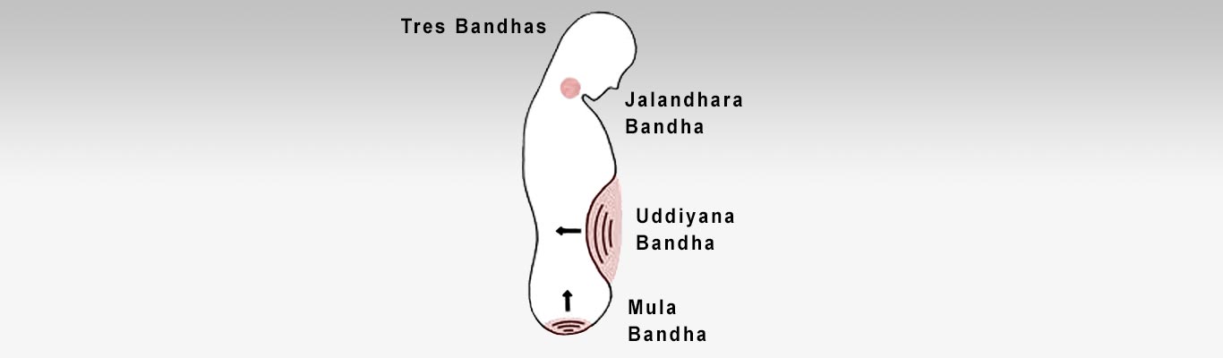 Bandhas